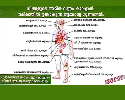 Jamshiya Wellness Coach